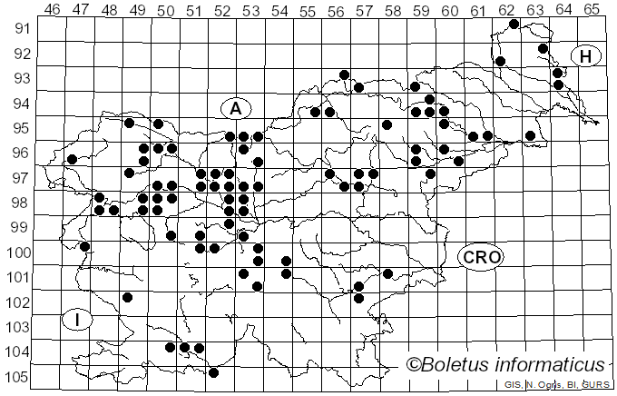 <i>Neolentinus lepideus</i> (Fr.) Redhead & Ginns (1985)