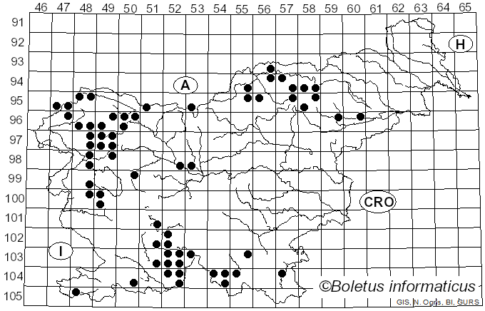 <i>Caloplaca</i> Th. Fr. (1860)