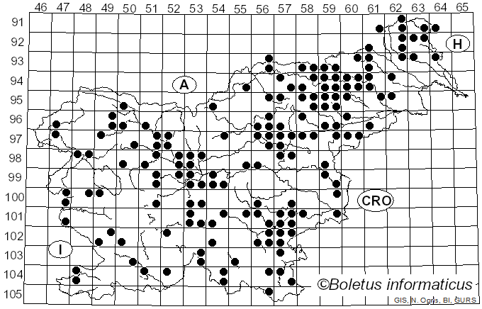 <i>Russula fellea</i> (Fr.) Fr. (1838)