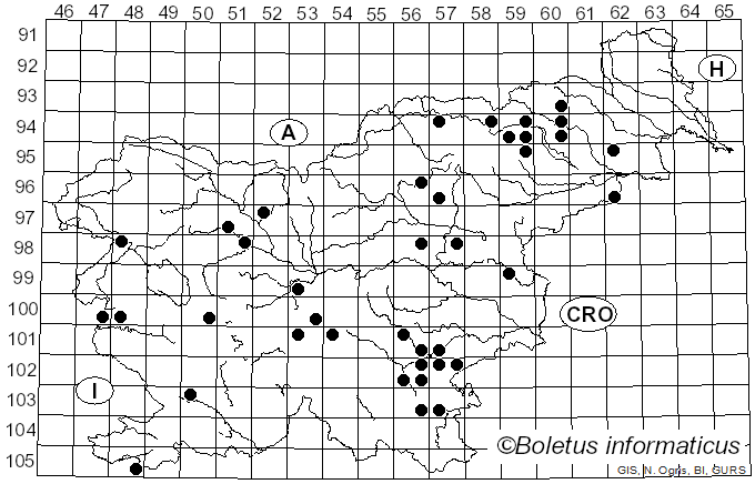<i>Inosperma maculatum</i> (Boud.) Matheny & Esteve-Rav. (2019)