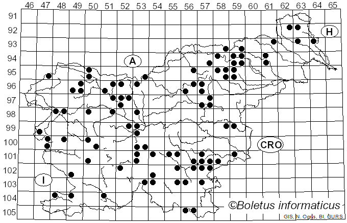 <i>Cortinarius venetus</i> (Fr.) Fr. (1838)