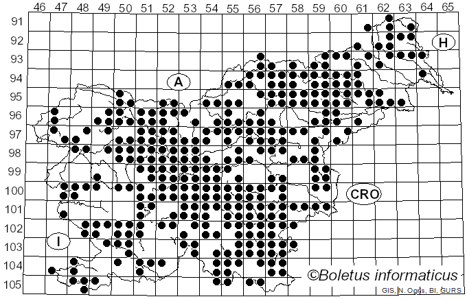 <i>Russula cyanoxantha</i> (Schaeff.) Fr. (1863)