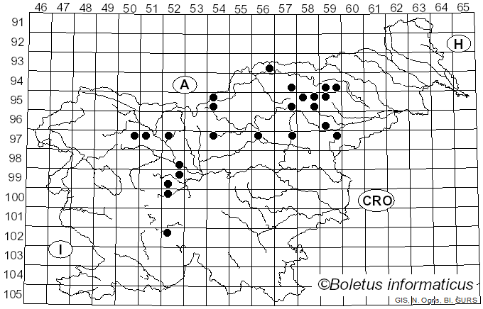 <i>Lactarius repraesentaneus</i> Britzelm. (1885)