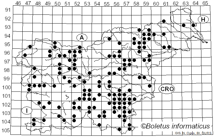 <i>Lactarius salmonicolor</i> R. Heim & Leclair (1953)