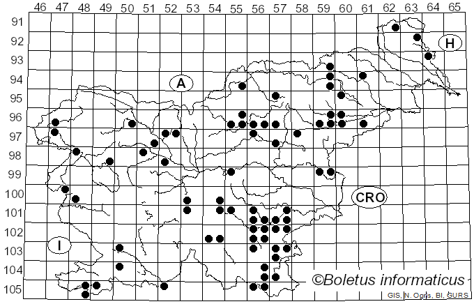 <i>Leccinellum</i> Bresinsky & Manfr. Binder (2003)