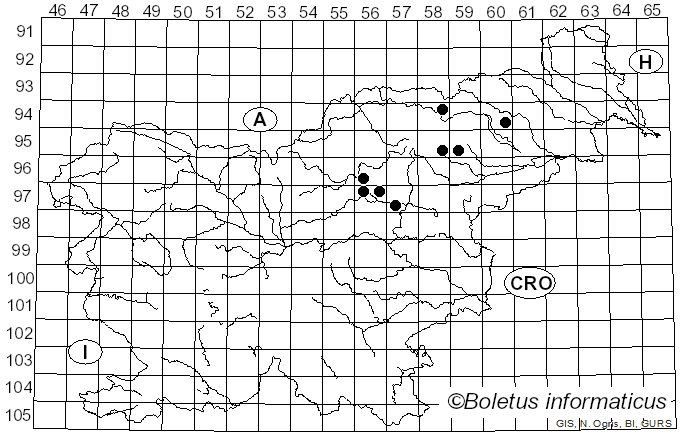 <i>Paragalactinia michelii</i> (Boud.) Van Vooren (2020)