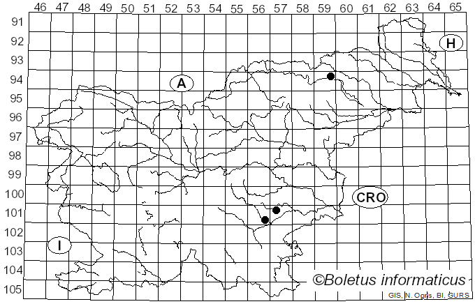 <i>Xerocomus quercinus</i> H. Engel & T. Brückn. (1996)