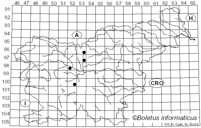 <i>Septoria senecionis</i> Westend. (1852)
