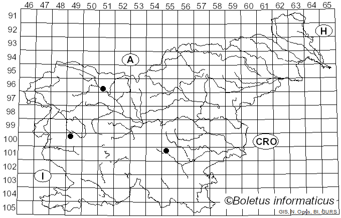 <i>Arcyria affinis</i> Rostaf. (1875)