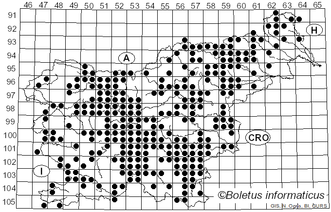 <i>Clitopilus</i> (Fr. ex Rabenh.) P. Kumm. (1871)
