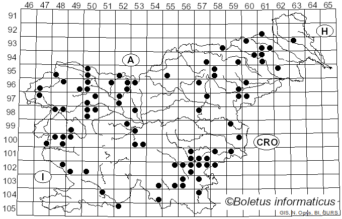 <i>Mycena pelianthina</i> (Fr.) Quél. (1872)