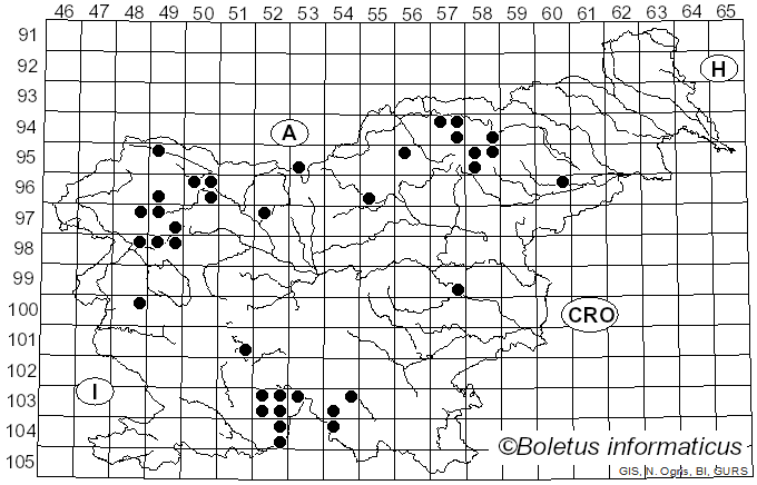 <i>Acrocordia gemmata</i> (Ach.) A. Massal. (1854)
