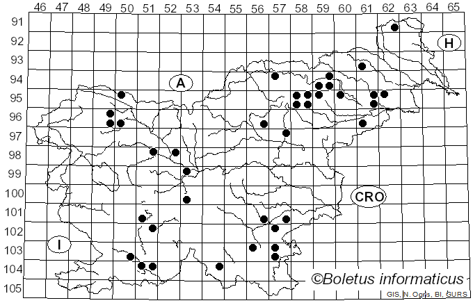 <i>Amanita magnivolvata</i> Aalto (1974)