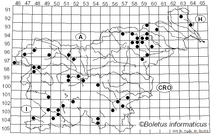 <i>Skeletocutis</i> Kotl. & Pouzar (1958)