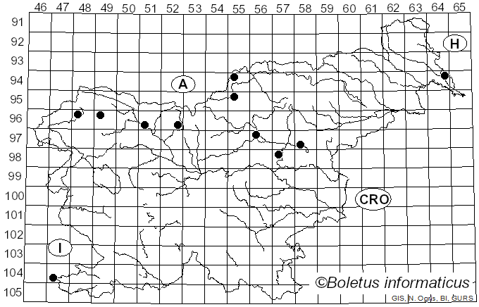 <i>Albugo</i> (Pers.) Roussel (1806)