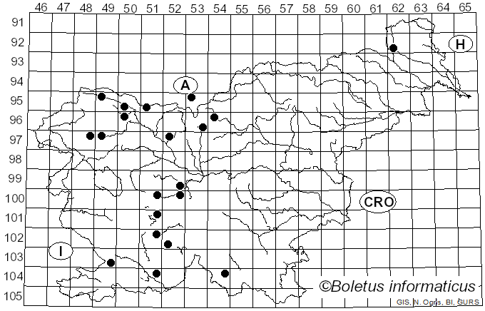 <i>Pipizella</i> Rondani (1856)