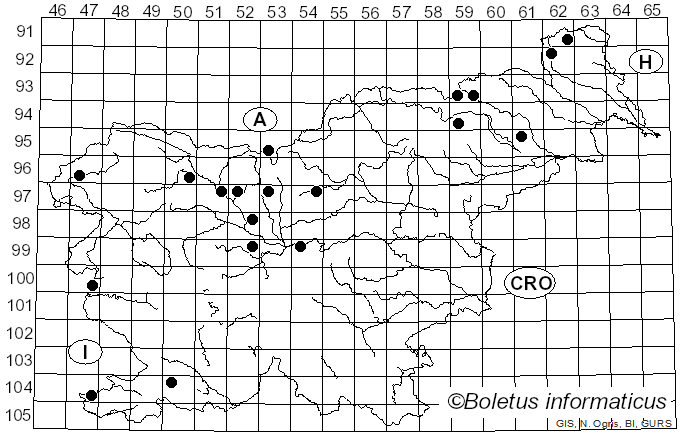 <i>Macrotyphula</i> R.H. Petersen (1972)