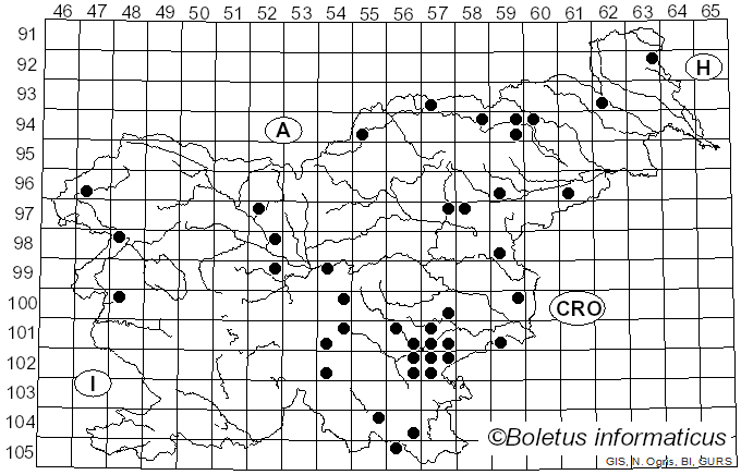 <i>Leccinum variicolor</i> Watling (1969)