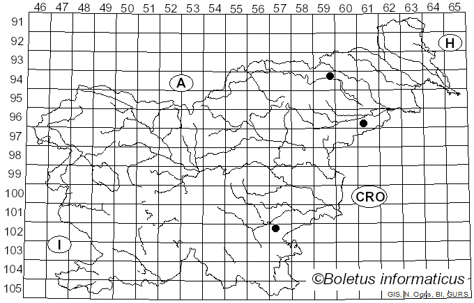 <i>Lacrymaria pyrotricha</i> (Holmsk.) Konrad & Maubl. (1925)