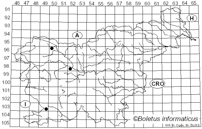 <i>Clitocybe subspadicea</i> (J.E. Lange) Bon & Chevassut (1973)
