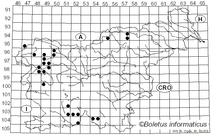 <i>Catillaria</i> A. Massal. (1852)