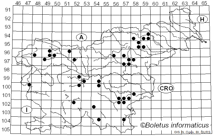 <i>Hygrophorus piceae</i> Kühner (1949)