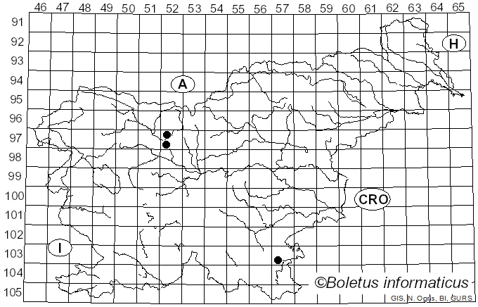 <i>Hygrophorus spodoleucus</i> M.M. Moser (1967)