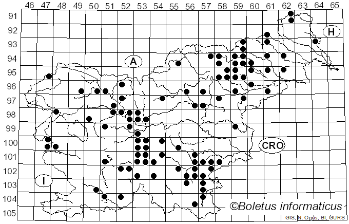 <i>Russula cavipes</i> Britzelm. (1893)