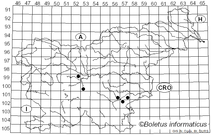 <i>Cortinarius pseudoduracinus</i> Rob. Henry (1938)