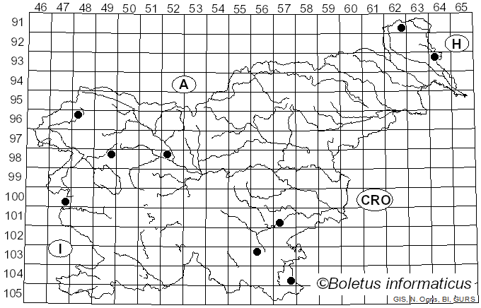 <i>Crepidotus calolepis</i> (Fr.) P. Karst. (1879)