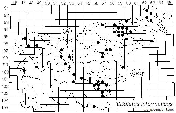 <i>Mycena vulgaris</i> (Pers.) P. Kumm. (1871)