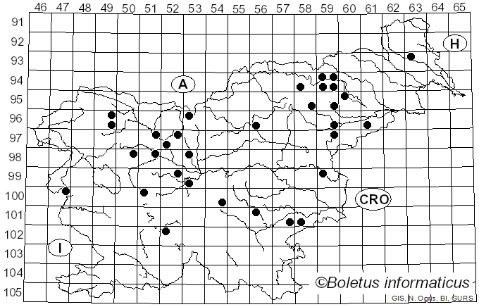 <i>Macrocystidia cucumis</i> (Pers.) Joss. (1934)