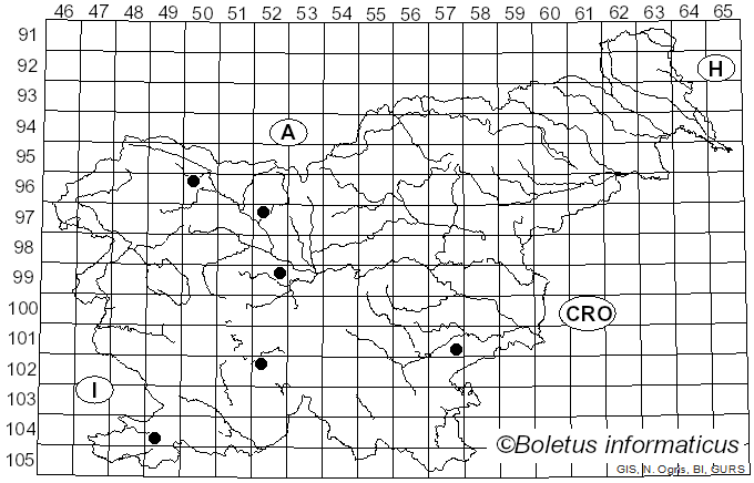<i>Tarzetta cupularis</i> (L.) Svrcek (1981)