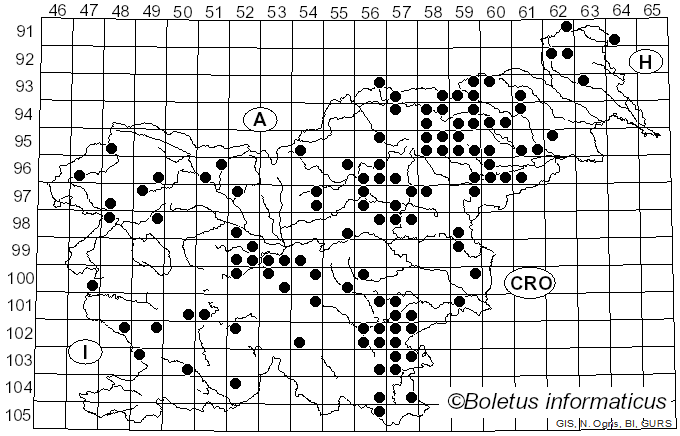 <i>Russula adusta</i> (Pers.) Fr. (1838)