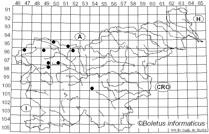 <i>Valsalnicola</i> D.M. Walker & Rossman (2012)