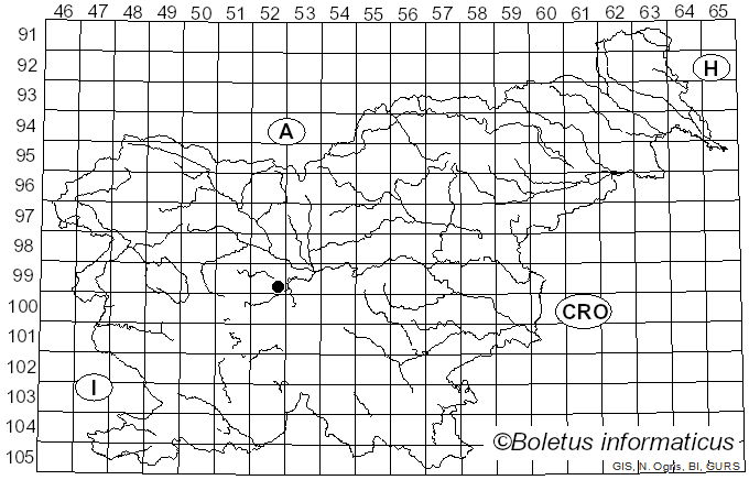 <i>Cladosporium aecidiicola</i> Thüm. (1876)