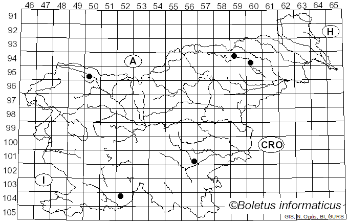 <i>Psathyrella niveobadia</i> (Romagn.) M.M. Moser (1978)