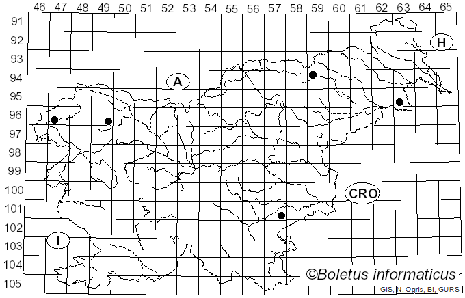 <i>Galerina clavata</i> (Velen.) Kühner (1935)
