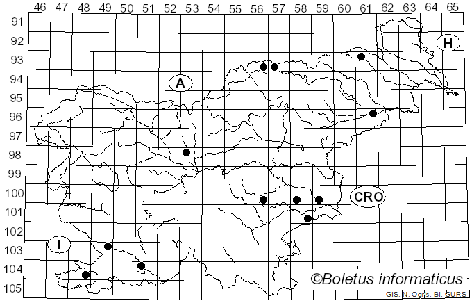 <i>Rhyacionia</i>