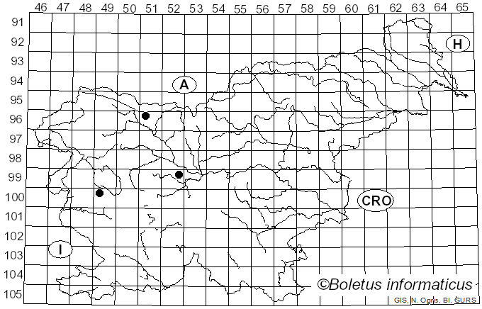 <i>Brefeldia maxima</i> (Fr.) Rostaf. (1873)