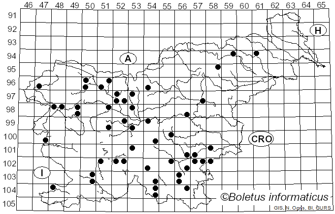 <i>Cerrena unicolor</i> (Bull.) Murrill (1903)
