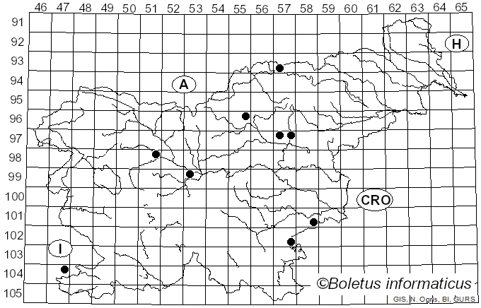<i>Stigmella ruficapitella</i> Haworth