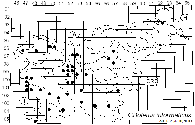<i>Gymnosporangium</i> R. Hedw. ex DC. (1805)