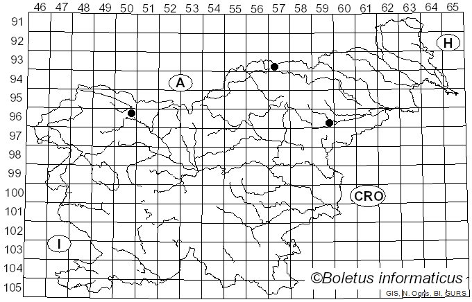 <i>Clitopilus cystidiatus</i> Hauskn. & Noordel. (1999)