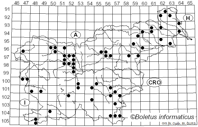 <i>Fomitiporia</i> Murrill (1907)
