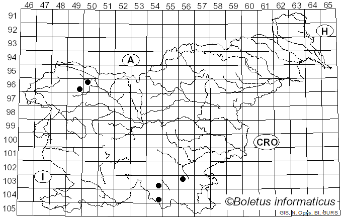 <i>Trechispora farinacea</i> (Pers.) Liberta (1966)