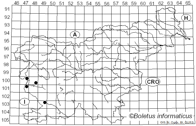 <i>Tricholosporum goniospermum</i> (Bres.) Guzmán ex T.J. Baroni (1982)