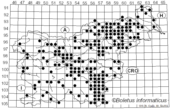<i>Russula violeipes</i> Quél. (1898)