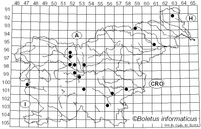 <i>Sistotrema confluens</i> Pers. (1794)