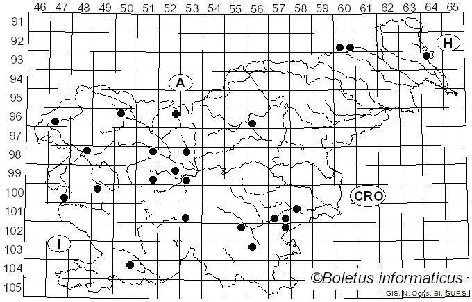 <i>Phlebia radiata</i> Fr. (1821)